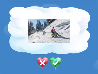 Bildbeschreibung DTZ Flash-Karten