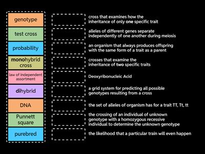 Biology Mendel and Heredity Vocabulary #2