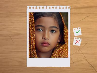 Y2 - Unit 4: Eye and hair colour