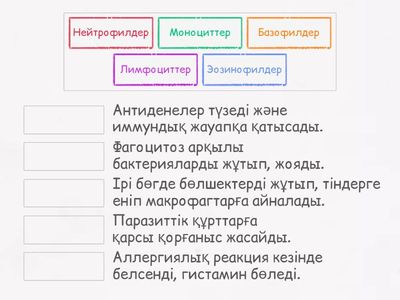 Төменде берілген лейкоцит түрлерін олардың қызметтерімен сәйкестендіріңіз.
