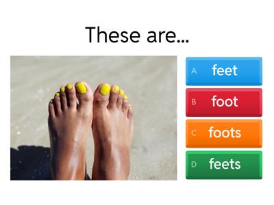 Irregular plurals primary school 