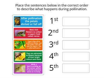 I can sequence the events that lead to pollination of flowers