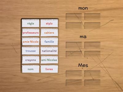  Les adjectif possessifs