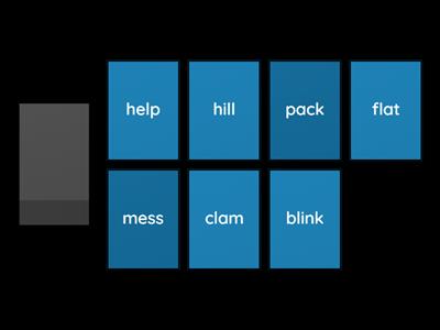 Word Wizard CCVC/CVCC/CCVCC