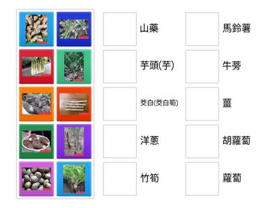 10-果蔬(蘿蔔-茭白(茭白筍)