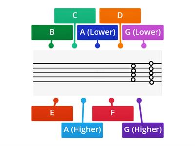 The stave (BASS CLEF)