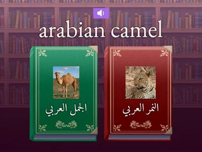 grade 5 semester2 vocabulary