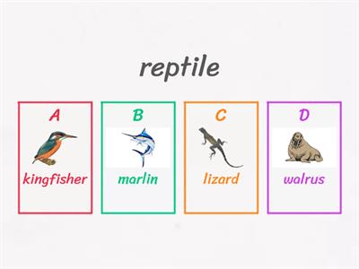 Animal Types