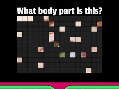 Body Parts Revision (Image reveal) - JPs
