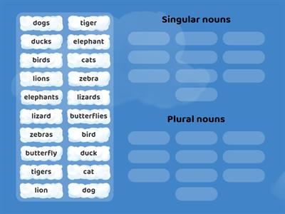 Year 1 Grammar - Singular and Plural Nouns