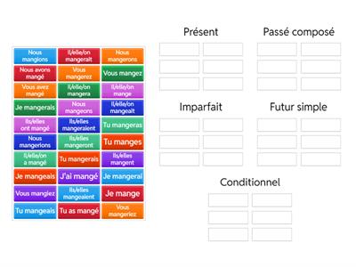 Manger Year 11 Term 1