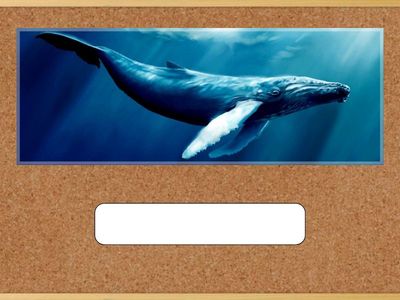 Подпиши картинку.( 3часть)