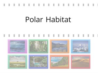  Super minds 1 habitats