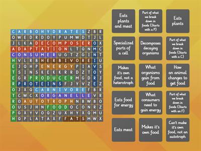 Energy Flow in Organisms
