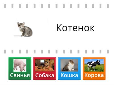 Мамы и дети