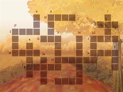 Body (начальная школа)