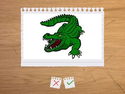 Wild animals-Vocabs-audio