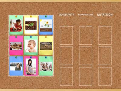 Three vital functions