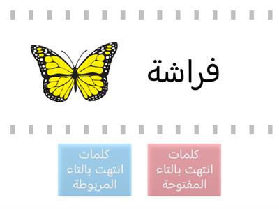 التاء المفتوحة والتاء المربوطة