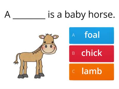 K2 Baby Farm Animals Vocab