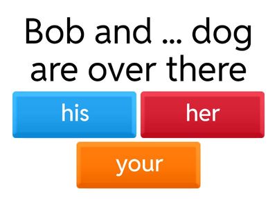Possessive adjectives 1  : beginner