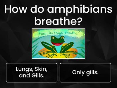 Cambridge Science Skills 4. Unit 3: Amphibians and Fish