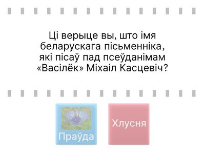 Васілёк -сімвал Беларусі