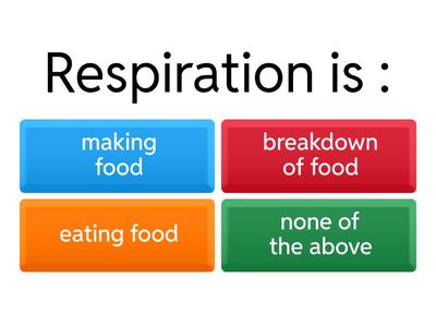  Respiration