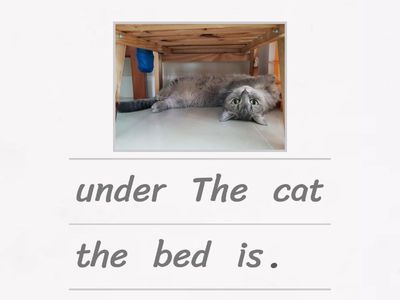 G3 EAL Prepositional Phrases Scramble