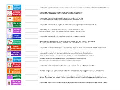 Sistemas do Corpo Humano