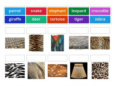 Match the skin of the animal with the name of the animal.