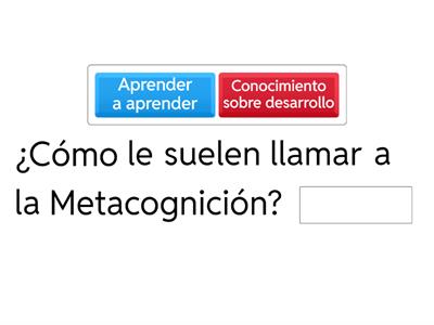 METACOGNICIÓN