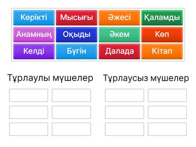 Анамның мүшесі