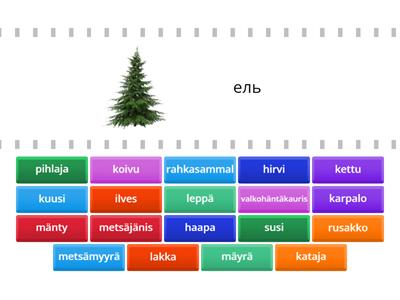 Metsän puita ja eläimiä