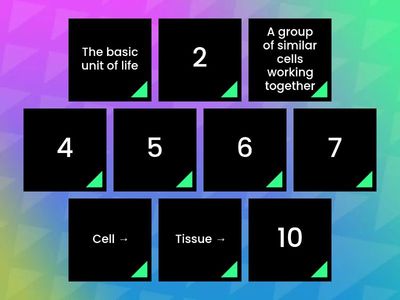 Organisation Hierarchy Match