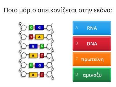 ΚΕΝΤΡΙΚΟ ΔΟΓΜΑ ΤΗΣ ΒΙΟΛΟΓΙΑΣ