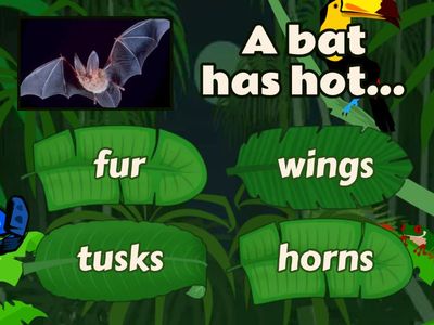 Stars & Heroes 3 Unit 2 a