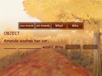 Subject and Object Questions 