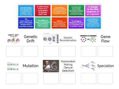 Mechanisms of Evolution