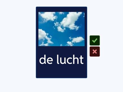 de zintuigen NT2 | de reukzin | flashcards