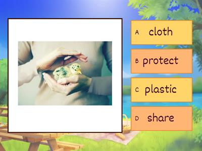 Module 7 Support lesson