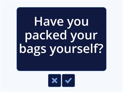 Going Through Customs