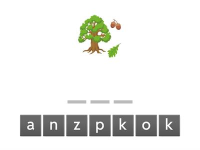 oa digraph spell words