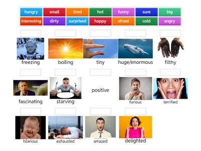 Strong adjectives I1