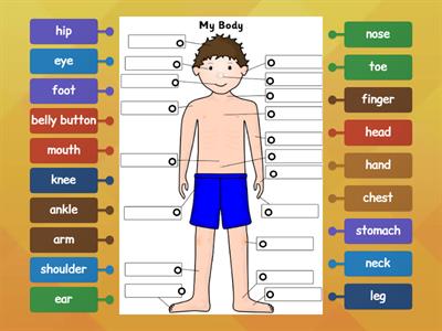 Parts of the Body (19)