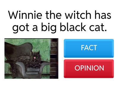 Winnie the witch fact vs opinion
