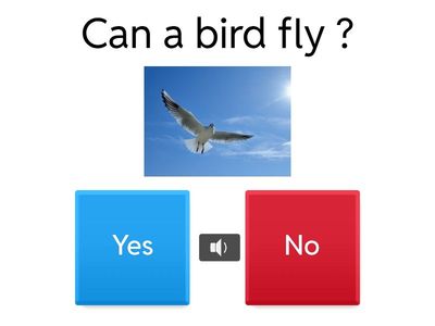 KITTY -UNIT 3 - CAN- CAN'T