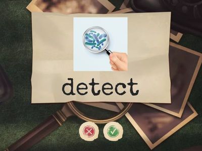 Spotlight 7 Module 3a p.27 Teens with Drive Text 2