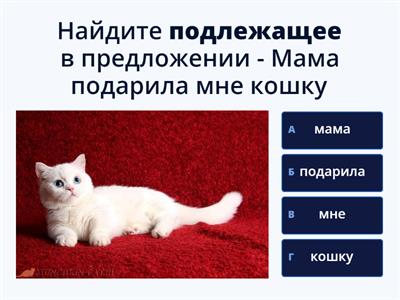 Главные члены предложения