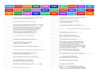 Chapter 2 (Anatomy and Physiology) Part 1